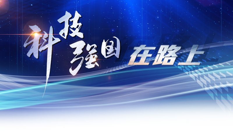 数字化解决方案：部署周期与成本解析