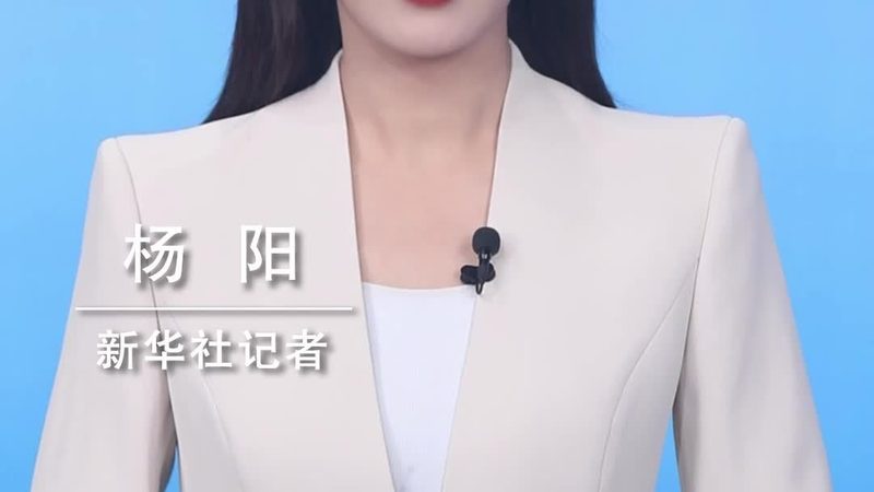 北京数字化解决方案：性价比背后的考量因素